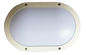 Luce ovale fresca del supporto della superficie di bianco 10W 20w LED per la valutazione di illuminazione di soffitto IP65 fornitore